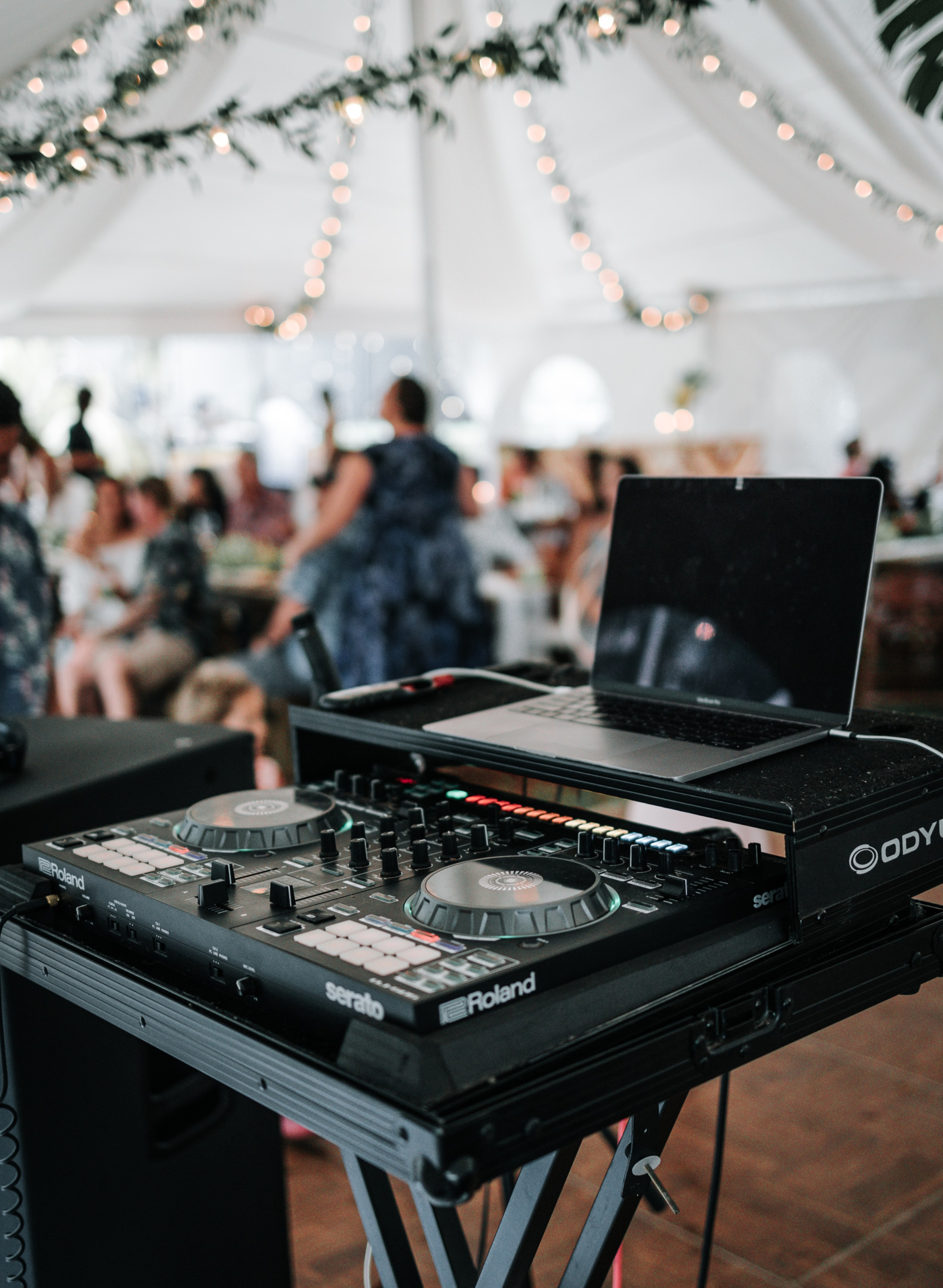 Britton DJ Service Toronto - The 5 Things Your Wedding DJ Wants You To Know…